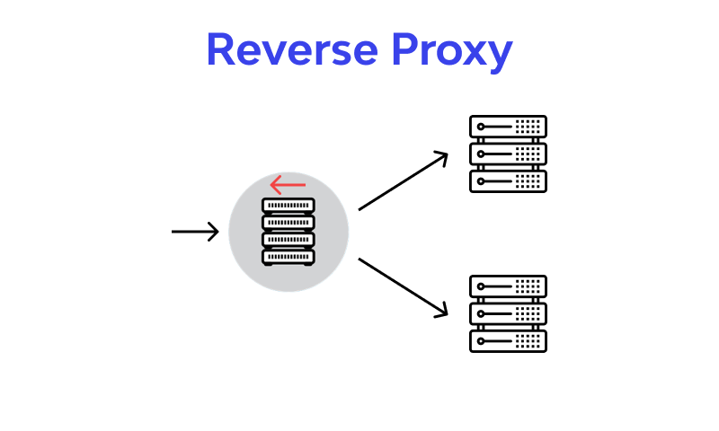 What is a Reverse Proxy Server? Definition & FAQs