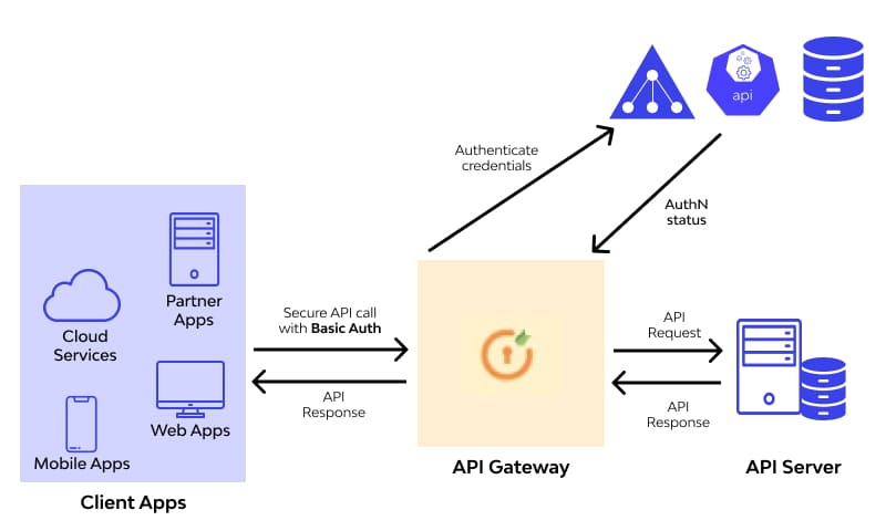 api Basic Authentication 